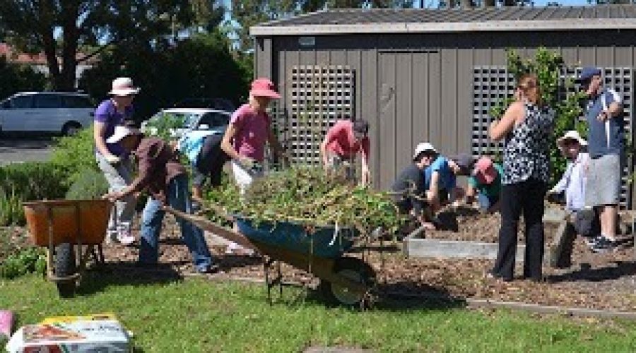 How to join a Community Garden on the Gold Coast