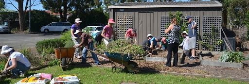 When you walk into any of the community gardens on the Gold Coast you will see a passionate gardener.